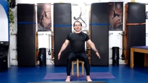 Ejercicios en silla 23122020