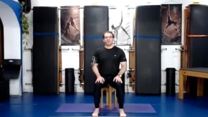 Ejercicios en silla 12012021