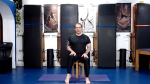 Ejercicios en silla 13012021