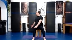 Ejercicios en silla 20012021