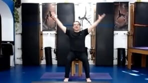 Ejercicios en silla 10022021