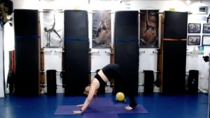 Miniball pesas y bandas 14022022