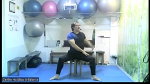 Ejercicios en silla 12072022