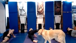 Mat serie 34 01112023