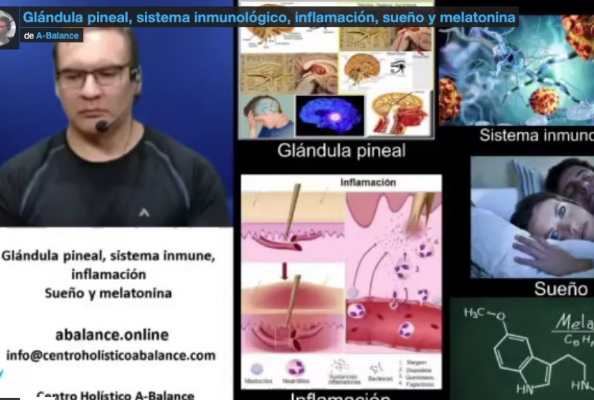 Glandula pineal sistema inmunolgógico abalance